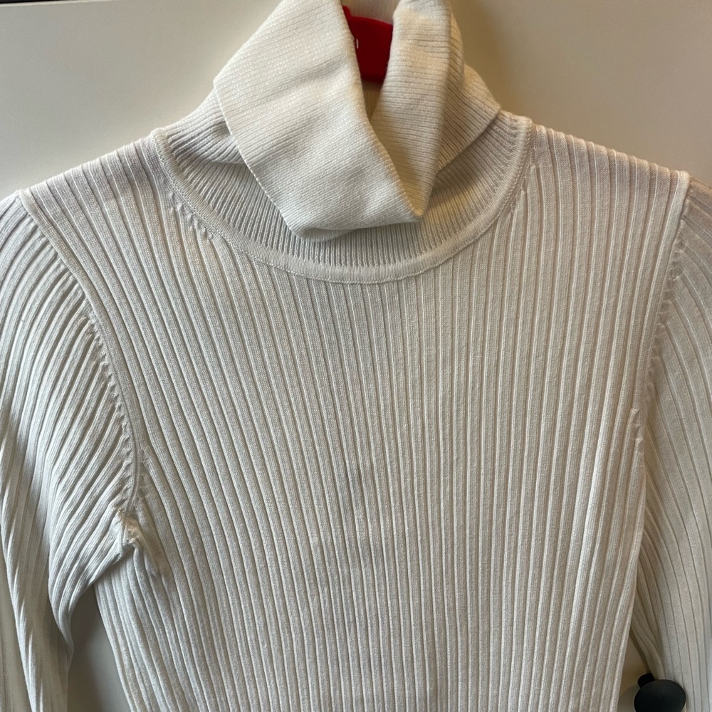 Never worn turtle neck